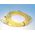 Allen-Bradley 889PM4AB5 PICO Cable Male Straight 4 Pins