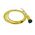 Allen-Bradley 889NF4AEC6F Mini Cable Female Straight 4 Pins