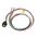 Allen-Bradley 888NF5AF13F Mini Straight Female Receptacle
