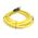Allen-Bradley 889MF12AH5 M23 Quick Disconnect Cordset