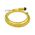 Allen-Bradley 889NF4AEC6F Mini Cable Female Straight 4 Pins
