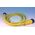 Allen-Bradley 889NF4AENM2 Mini/Mini Plus 4-Pin Straight Female Cord Set