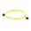 Allen-Bradley 889NF4HKNM1 Mini 4 Pin Straight Patchcord