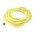 Allen-Bradley 889DF5EC20 DC Micro M12 Female Straight 5-Pin Cordset
