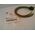 Allen-Bradley 888NF12AF11F Mini Straight Female Receptacle