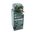 Allen-Bradley 802TALP Limit Switch NEMA Type 4/13