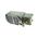Allen-Bradley 802TNP Limit Switch Lever Type