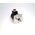 Allen-Bradley 845DSJDZ25ADCN5 Absolute Encoder 25mm Square Flange
