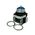 Allen-Bradley 800TFXTQ24XA1 Illuminated Push Button