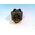 Allen-Bradley 802TX7J1 Plug-In Oiltight Limit Switch