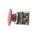 Allen-Bradley 800TD6LA Momentary Push Button