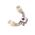 Allen-Bradley 802TW4F Limit Switch Lever Fork Roller Style