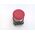 Allen-Bradley 800TFXT6 Red Mushroom Head Pushbutton