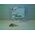 Allen-Bradley 194R60HDWR Replacement Hardware for Disconnect Switch