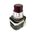 Allen-Bradley 800TPB16R Illuminated Momentary Push Button