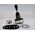 Allen-Bradley 800TT3P8 Three Way Toggle Switch 30mm