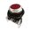 Allen-Bradley 800TA6D2 Momentary Contact Push Button