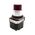 Allen-Bradley 800TPB26R Illuminated Momentary Push Button