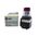 Allen-Bradley 800TPB16R Illuminated Momentary Push Button