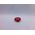 Allen-Bradley 800TLC604W Legend Cap for 30mm Push Button