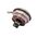 Allen-Bradley 800K30FMR24X01 Piezo Pushbutton Indicator Light