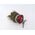 Allen-Bradley 800TE2432M6A Cylinder Lock Push Button