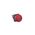 Allen-Bradley 800TD6A Momentary Push Button Mushroom Head Red