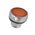 Allen-Bradley 800FMLF0 Momentary Illuminated Push Button