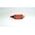Allen-Bradley Bulletin 440P Full Switch Roller Plunger