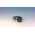 Allen-Bradley 800FMSJ32 Selector Push Button