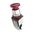 Allen-Bradley 800MRD6D2K Red Mushroom Head Momentary Push Button
