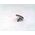 Allen-Bradley 800FAF208 Two-Color Molded Legend Push Button