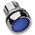 Allen-Bradley 800FMLF6 Illuminated Momentary Push Button