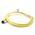 Allen-Bradley KB4T2 Single Ended Cordset with 1/2" Microfast Connector