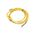 Allen-Bradley RKM502M Single Ended Cordset 7/8" Minifast