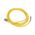 Allen-Bradley KB4T2 Single Ended Cordset with 1/2" Microfast Connector