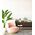 Table Lamp ES Clear Ellipse Glass Shade Black 490mm CLA Lighting