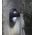 Step Light 240V 1W 3000K Eyelid Black IP44 104mm CLA Lighting