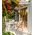 Outdoor Wall Light Coach ES Aluminium Black IP44 CLA Lighting