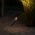 Spike Light LED 3W 24V 3000K IP65 Stainless Steel 316 Eslen Telbix