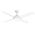 DC 4 BLADES 52" INCH WH CEILING FAN WITH LED LIGHT