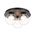Ceiling Light 3 Light G9 290mm Matt Black Opal Glass Mosari Telbix
