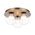 Ceiling Light 3 Light G9 290mm Matt Gold Opal Glass Mosari Telbix