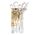 Wall Light 2 Light E14 Chrome Crystal Virell Telbix