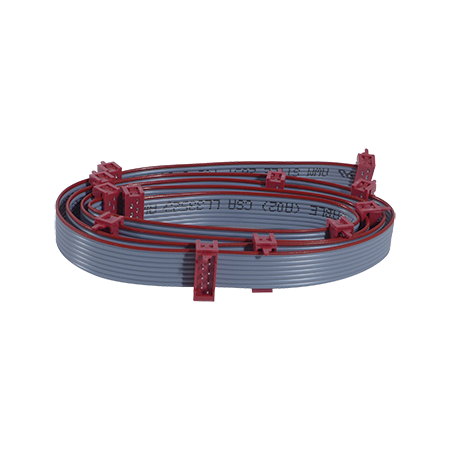 TERRA DC Distribution Cable - 12 Connectors