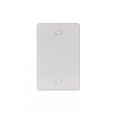 Blank Switch Plate & Cover  x10 - PUSWPVXGVP