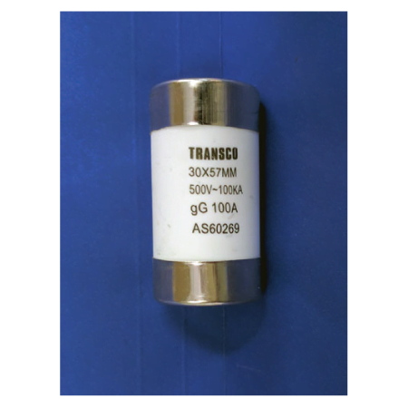 Fuse Link 100A 500V
