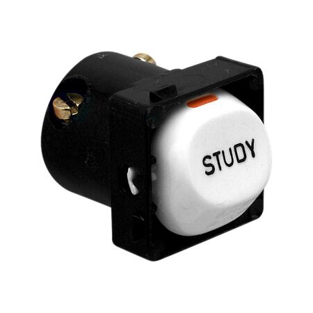 30 Series, Mechanism, Marked STUDY, 10A
White Electric