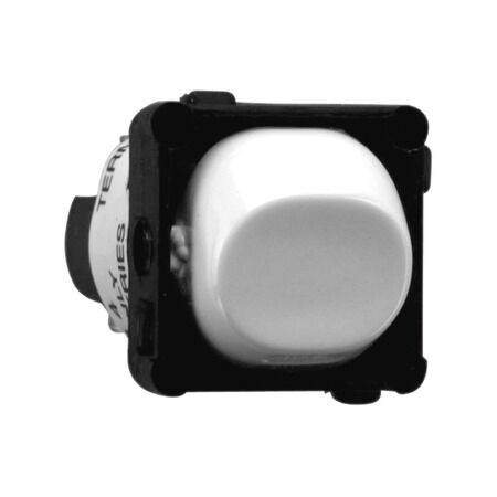 30 Series, Switch Mechanism, 250V 10A, Double Pole, Single Throw - White Electric