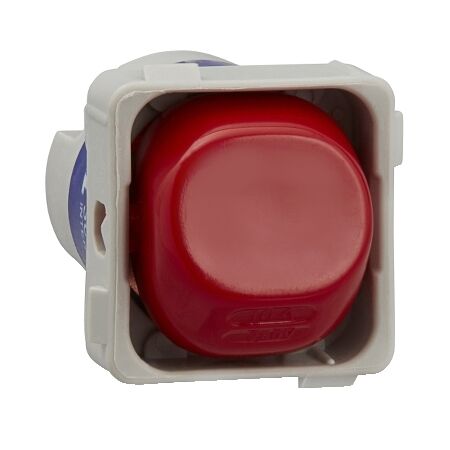 30 Series, Switch Mechanism, 250V 10A, Intermediate - Red